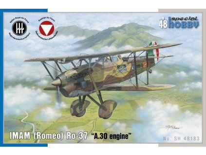 1/48 IMAM (Romeo) Ro.37 A30 engine
