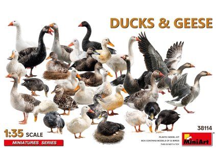 1/35 Ducks & Geese