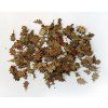 1/48 Leaves oak