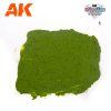 AK WARGAME Terrains Plague Ground. (100 ml)