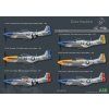 Duke Hawkings 1/48 P-51D Mustang LIMITED Edition - only 400 pc