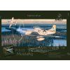Duke Hawkings 1/48 P-51D Mustang LIMITED Edition - only 400 pc
