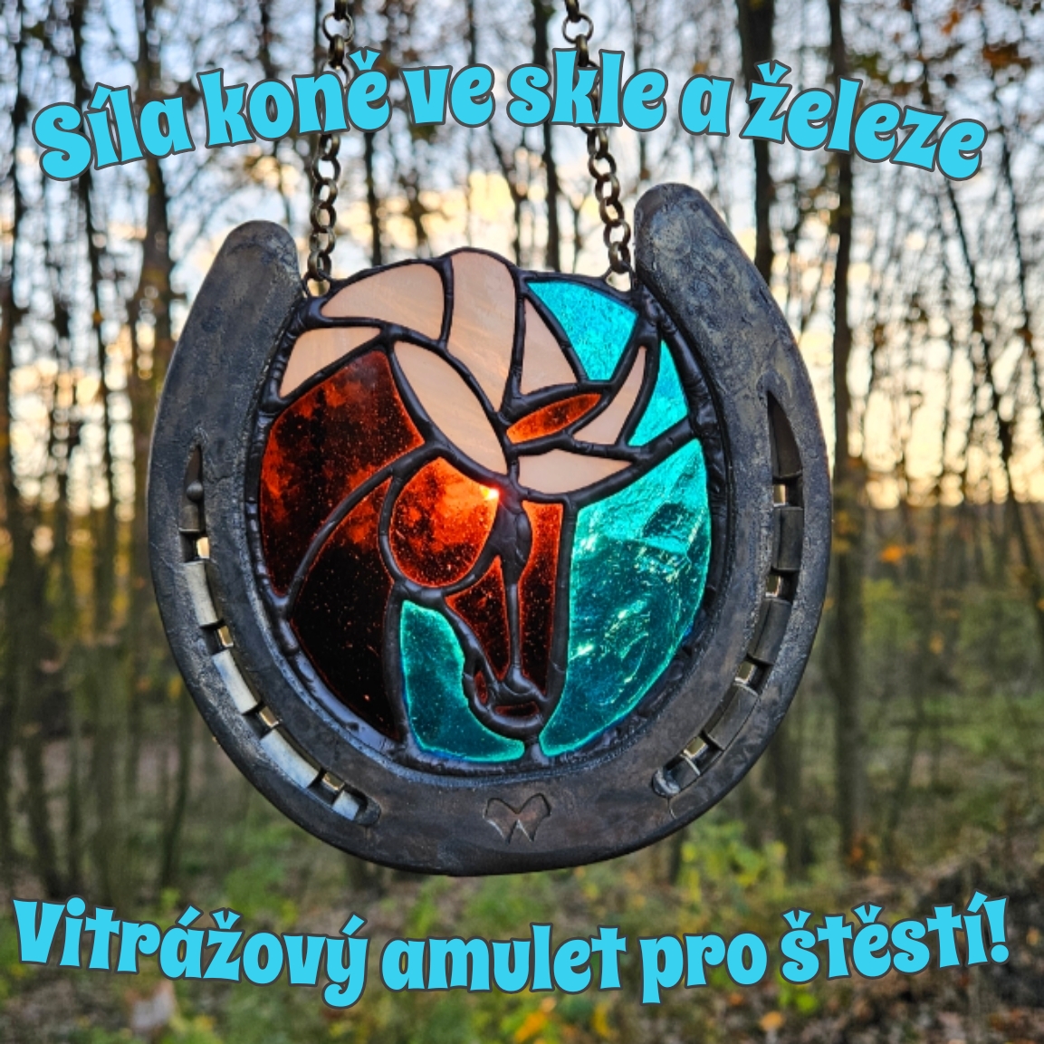 Konik s podkovu