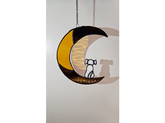 Obrázek WhatsApp, 2025 03 01 v 17.24.43 75fa2fac