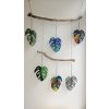 Monstera list