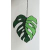 Monstera list