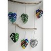 Monstera list