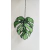 Monstera list