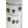 Monstera list