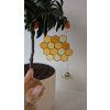skleneny amulet vceli plast pro hrejivy domov