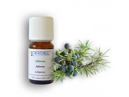 Jalovec de Provence bio (Juniperus communis L.), Jalovec