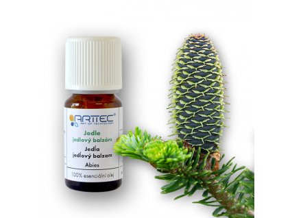Jedle balzámová (Abies balsamea) , Jedľa balzamová