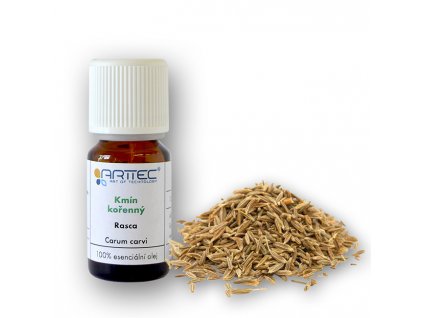 Kmín kořenný (Carum carvi L.), Rasca