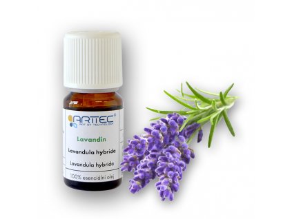 Lavandin super de Provence bio (Lavandula hybrida), Lavandula hybrida