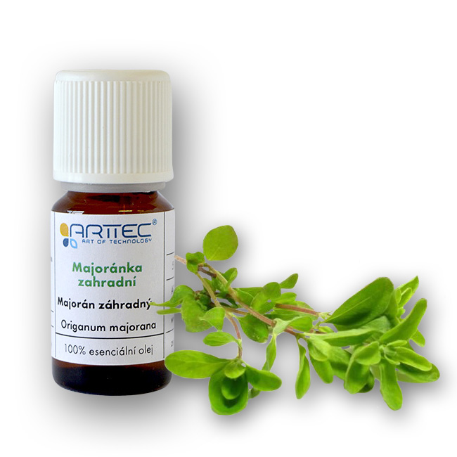 ARTTEC Majoránka s mušlemi (Origanum majorana), Majorán s mušĺami