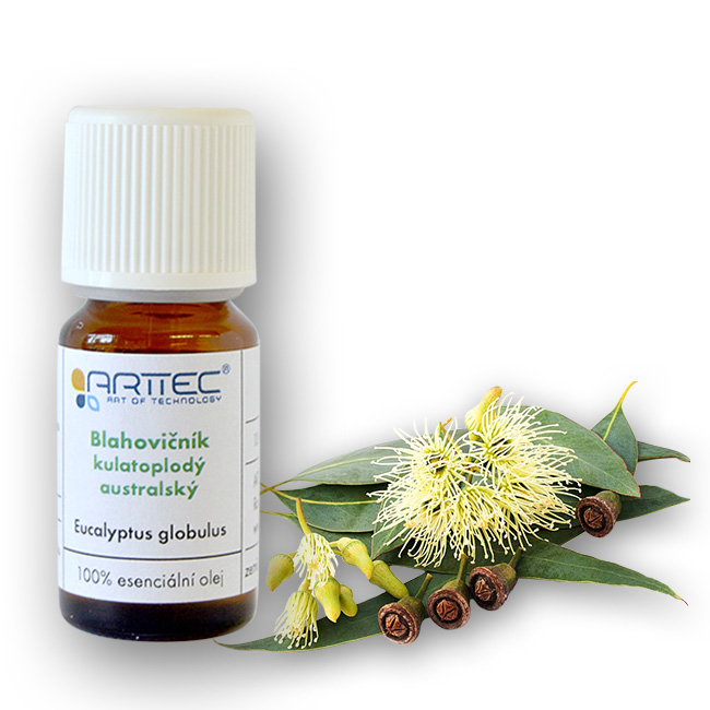 ARTTEC Blahovičník kulatoplodý bio (Eucalyptus globulus), Eukalyptus guĺatoplodý