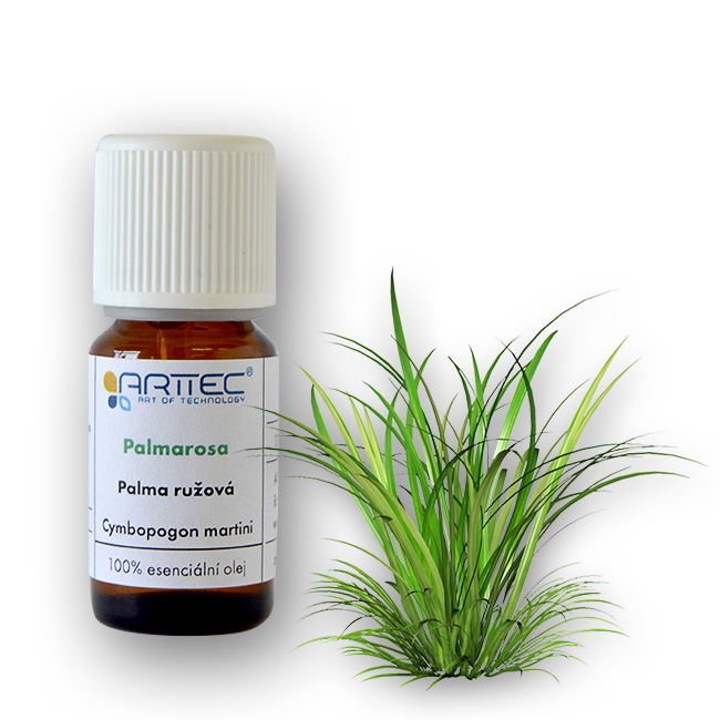 ARTTEC Palmarosa (Cymbopogon martinii), Palma ružová