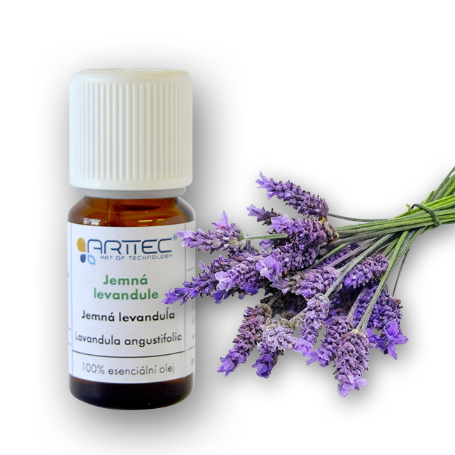 ARTTEC Levandule jemná AOP Haute-Provence bio (Lavandula angustifolia)