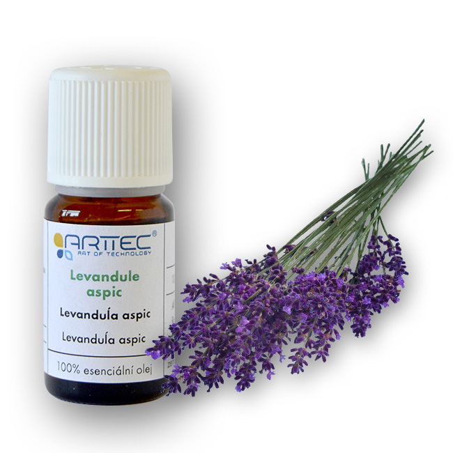 ARTTEC Levandule aspic (Lavandula latifolia)