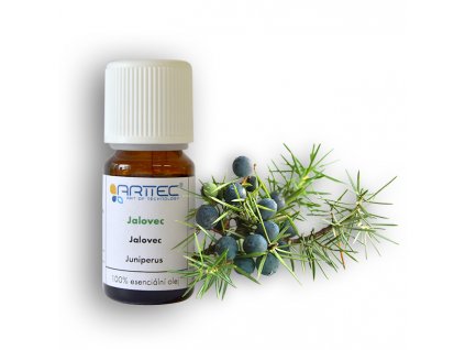 722 1 jalovec de provence bio juniperus communis l jalovec