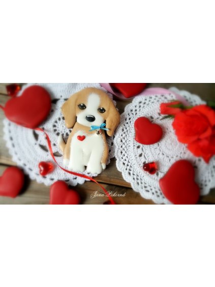 192675514 1112466852593437 2277904519259035193 n