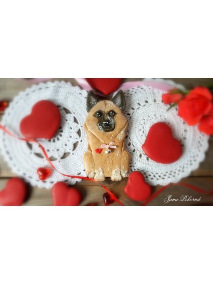 193173825 1112466942593428 8247579521207315517 n