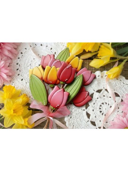 Návrh bez názvu 2026 01 19T184010.427