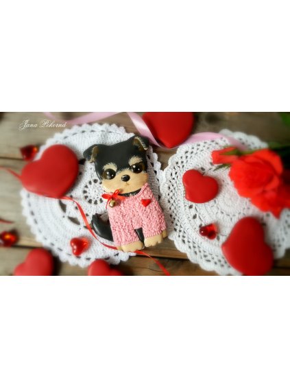 192641976 1112467209260068 1650244839974978990 n