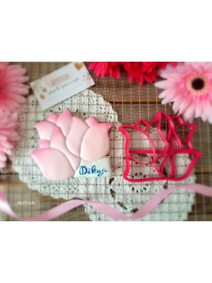 Tulipány s cedulkou