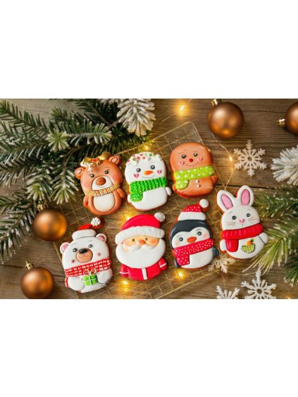 Návrh bez názvu 2025 12 11T130250.531