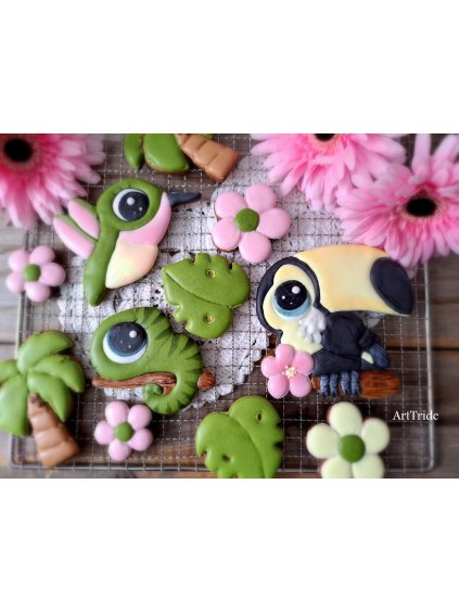 Kolibřík, tukan a chameleon