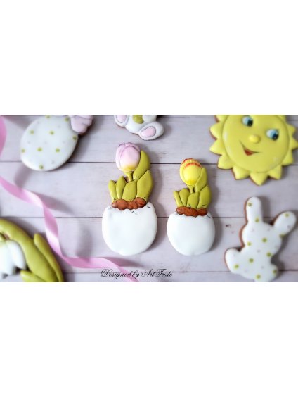 Tulipán ve skořápce