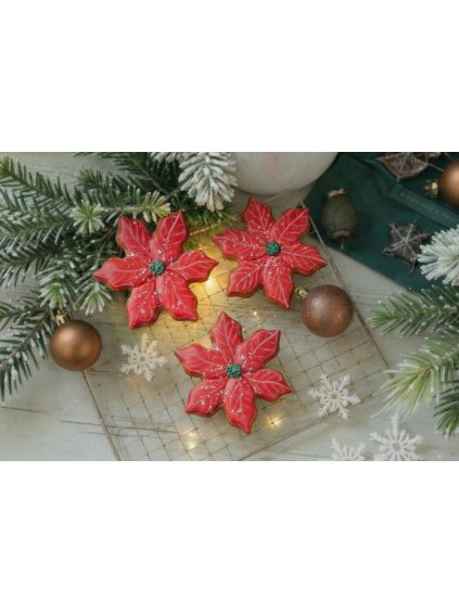 Návrh bez názvu 2025 12 06T113615.577