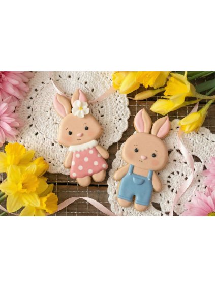 Návrh bez názvu 2025 12 28T100437.900