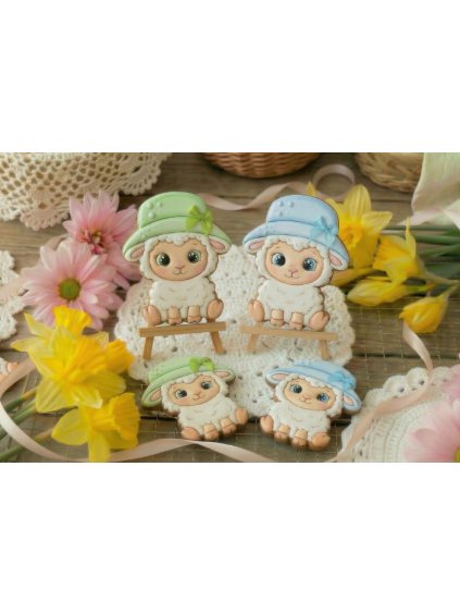 Návrh bez názvu 2026 01 02T183249.564