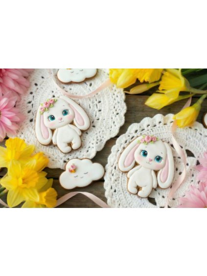 Vykrajovátko zajíček