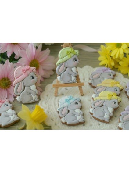 Návrh bez názvu 2026 01 13T200447.793