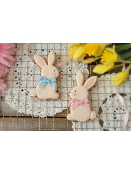 Návrh bez názvu 2026 01 15T100040.959