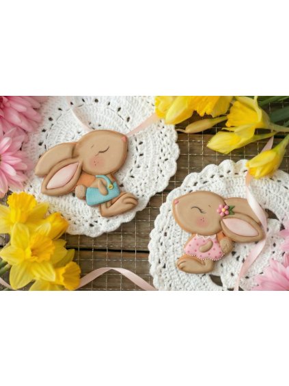 Návrh bez názvu 2026 01 16T164930.810