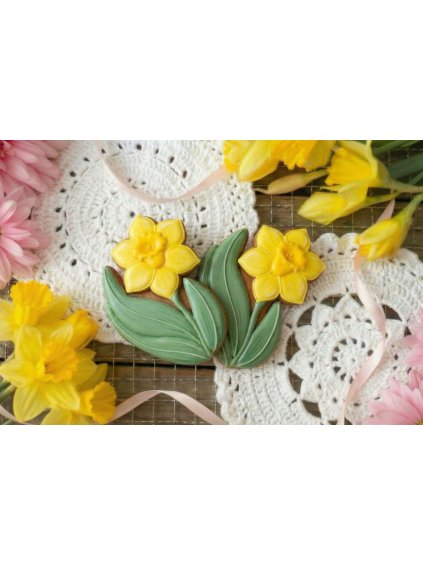 Vykrajovátko narciska květina