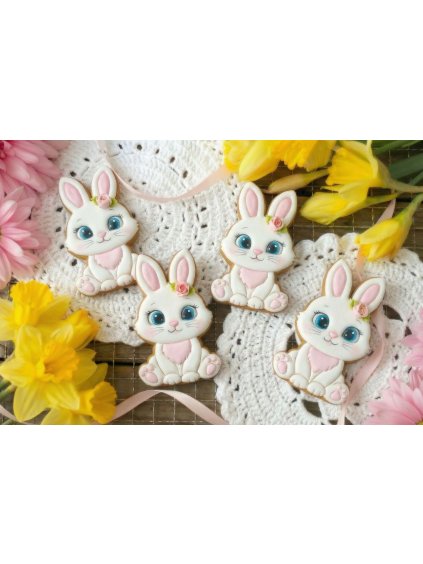 Návrh bez názvu 2026 01 18T205204.442