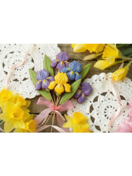 Vykrajovátko kosatec květina