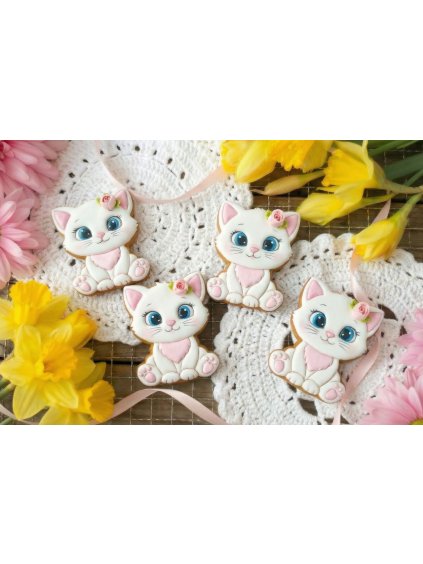 Návrh bez názvu 2026 01 19T210556.814