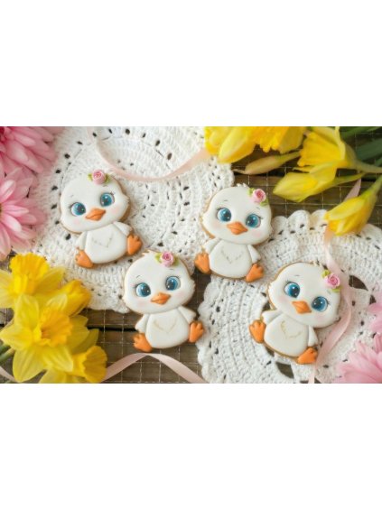 Návrh bez názvu 2026 01 25T183737.817