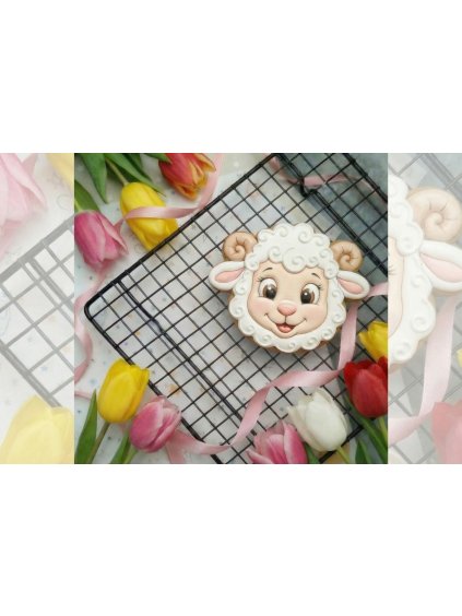 Návrh bez názvu 2026 01 31T124258.728