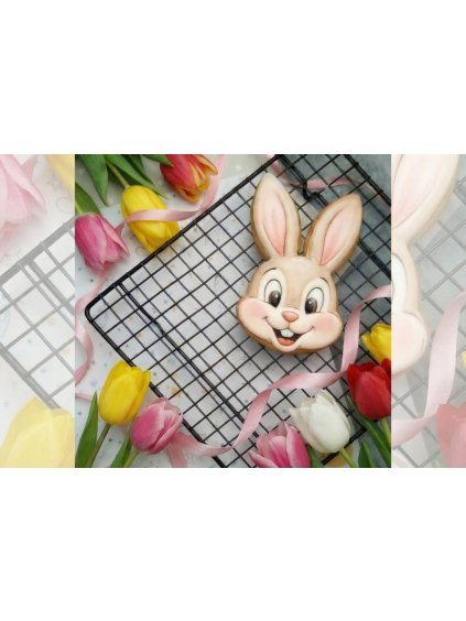 Návrh bez názvu 2026 01 31T132554.770