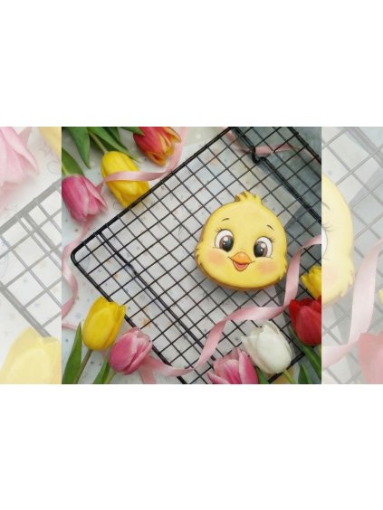 Návrh bez názvu 2026 02 01T070337.927