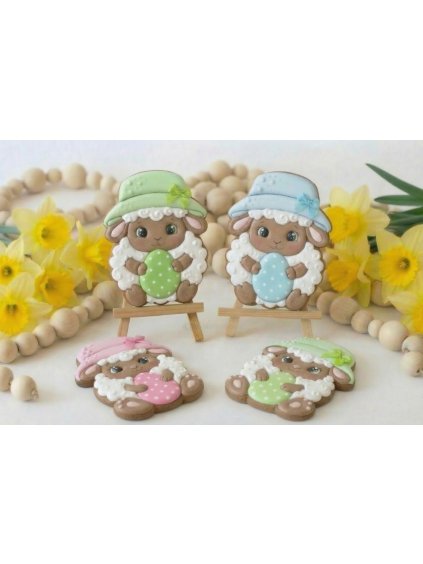 Návrh bez názvu 2026 02 02T093754.752