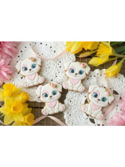 Návrh bez názvu 2026 02 03T104022.138