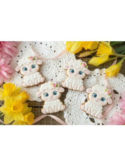 Návrh bez názvu 2026 02 03T191018.137